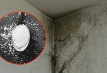 Spune-ti adio umiditatii din casa cu acest ingredient minune si eficient in doar cateva minute