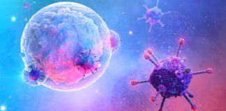 Recunoasterea cancerului de san, pe masura ce oamenii de stiinta descopera un mod potential in care ar putea ucide celulele canceroase